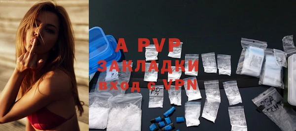 ПСИЛОЦИБИНОВЫЕ ГРИБЫ Белоозёрский