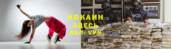 ПСИЛОЦИБИНОВЫЕ ГРИБЫ Белоозёрский