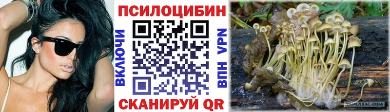 Галлюциногенные грибы GOLDEN TEACHER  Купить закладки  Кремёнки 